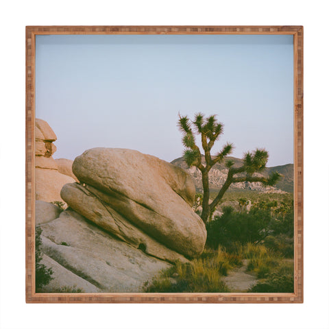 Bethany Young Photography Joshua Tree Twilight V on Film Square Tray