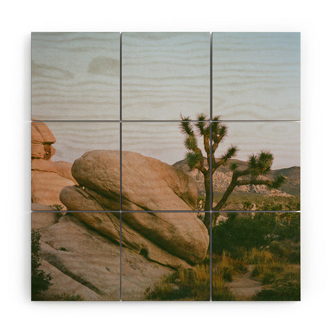 Bethany Young Photography Joshua Tree Twilight V on Film Wood Wall Mural
