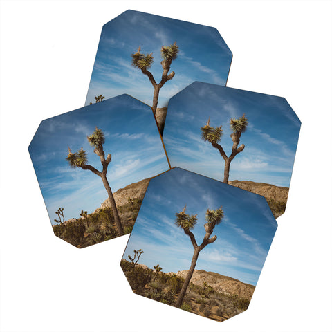 Bethany Young Photography Joshua Tree VI Coaster Set