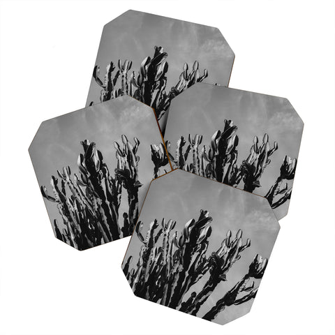 Bethany Young Photography Monochrome Cactus Sky Coaster Set