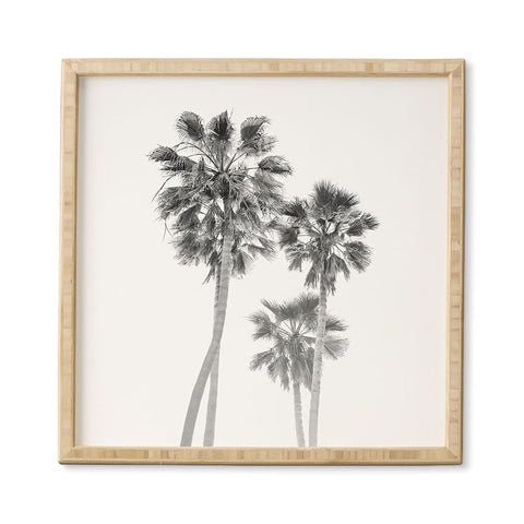 Bethany Young Photography Monochrome California Palms Framed Wall Art