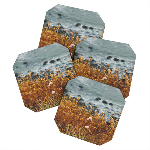Bethany Young Photography Northern California Coast Coaster Set
