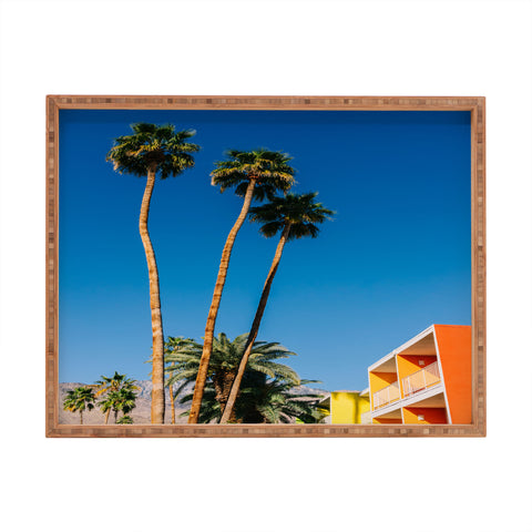 Bethany Young Photography Palm Springs Vibes V Rectangular Tray