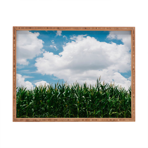 Bethany Young Photography Rural Corn Fields III Rectangular Tray