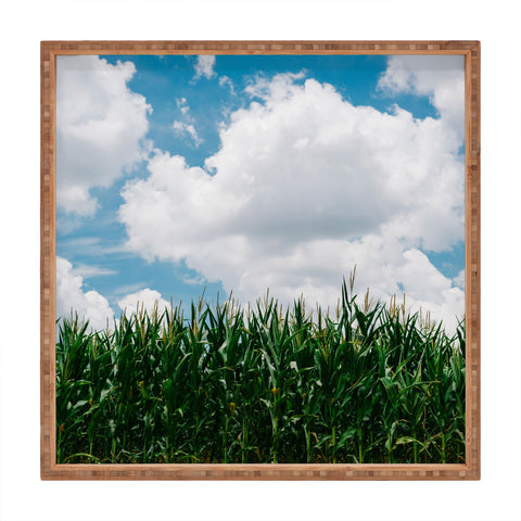 Bethany Young Photography Rural Corn Fields III Square Tray