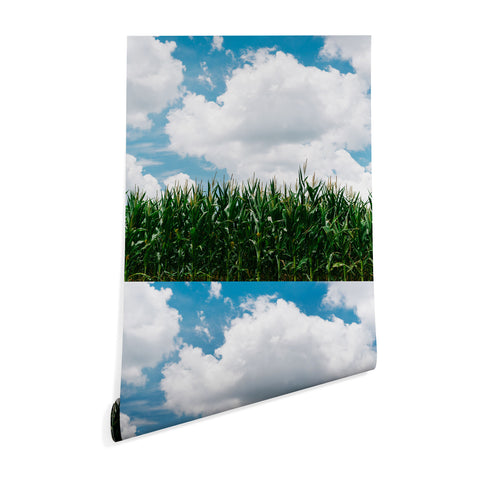 Bethany Young Photography Rural Corn Fields III Wallpaper