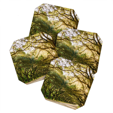 Bethany Young Photography Savannah Wormsloe Historic I Coaster Set