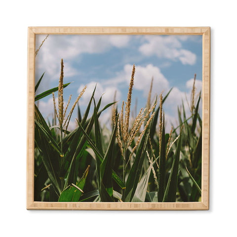 Bethany Young Photography Summer Fields Framed Wall Art