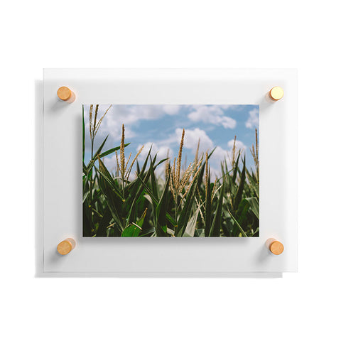 Bethany Young Photography Summer Fields Floating Acrylic Print