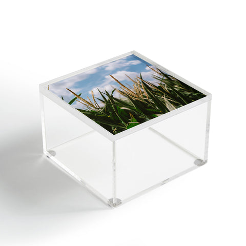 Bethany Young Photography Summer Fields Acrylic Box