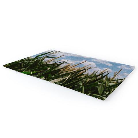 Bethany Young Photography Summer Fields Area Rug