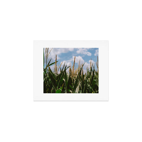 Bethany Young Photography Summer Fields Art Print