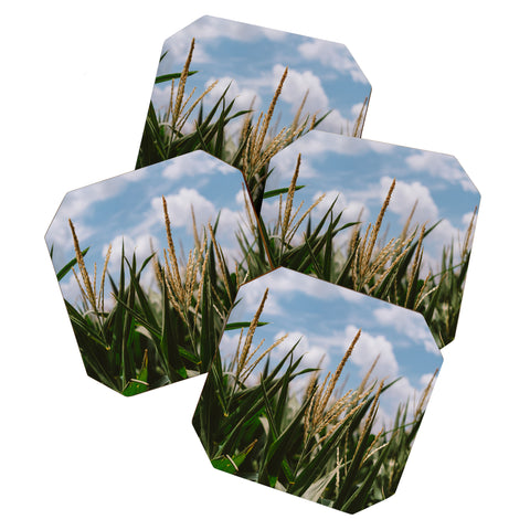 Bethany Young Photography Summer Fields Coaster Set