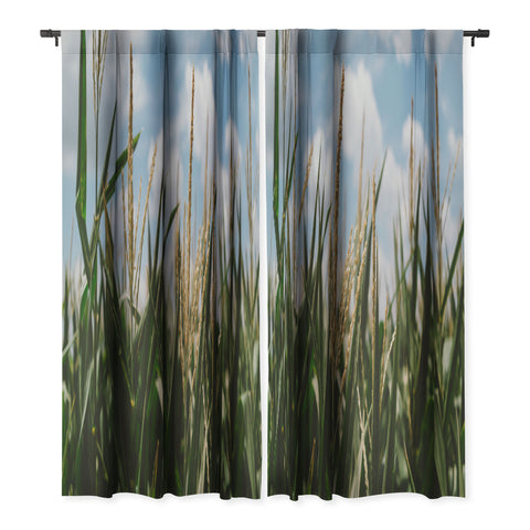 Bethany Young Photography Summer Fields Blackout Non Repeat