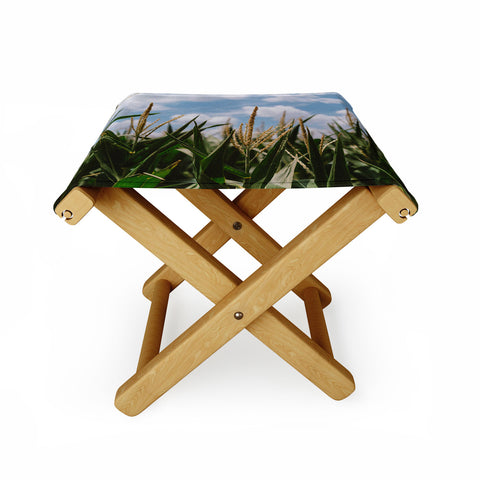 Bethany Young Photography Summer Fields Folding Stool