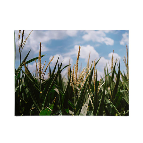 Bethany Young Photography Summer Fields Poster
