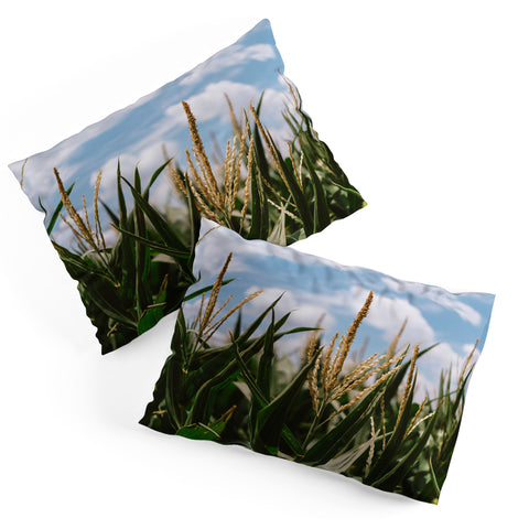 Bethany Young Photography Summer Fields Pillow Shams