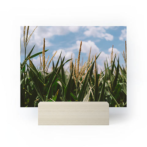 Bethany Young Photography Summer Fields Mini Art Print