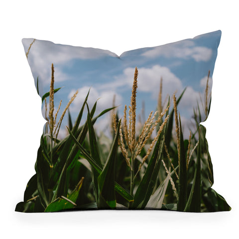 Bethany Young Photography Summer Fields Outdoor Throw Pillow