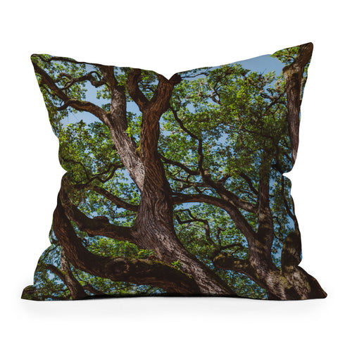 Bethany Young Photography Texas Cottonwood Outdoor Throw Pillow