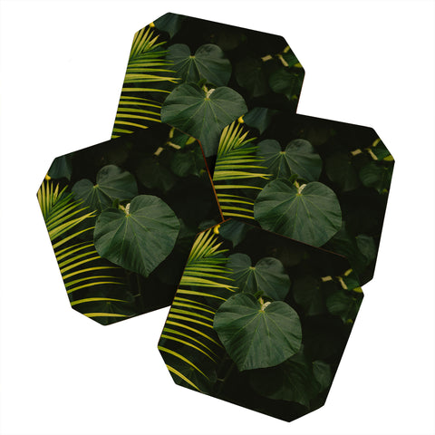 Bethany Young Photography Tropical Hawaii Coaster Set