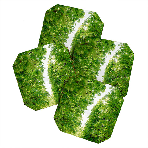 Bethany Young Photography Tuileries Garden IV Coaster Set