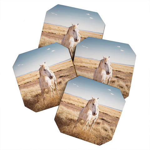 Bethany Young Photography West Texas Wild II Coaster Set