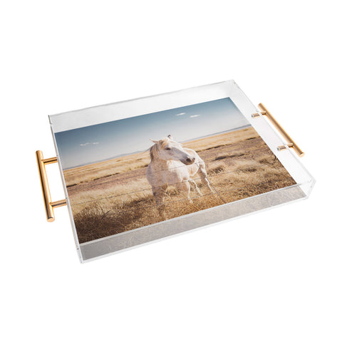 Bethany Young Photography West Texas Wild II Acrylic Tray