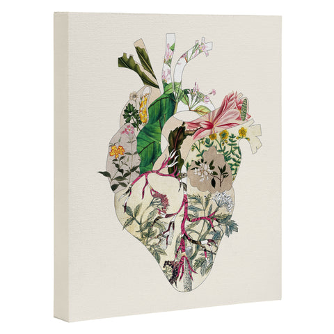 Bianca Green Vintage Botanical Heart Art Canvas