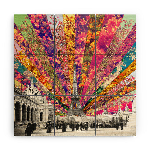 Bianca Green Vintage Paris Wood Wall Mural