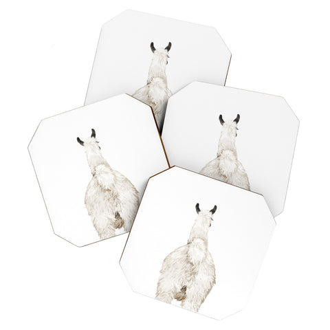 Big Nose Work Llama Butt Coaster Set