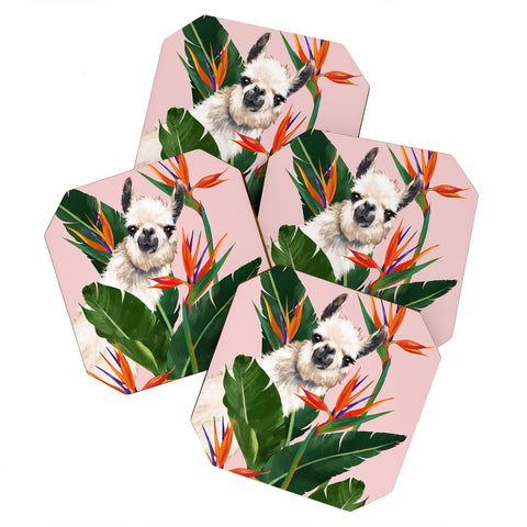 Big Nose Work Llama With Bird of Paradise Coaster Set