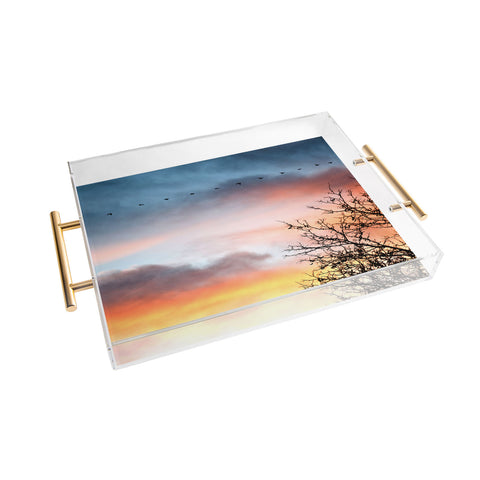 Bird Wanna Whistle Bird Line Acrylic Tray