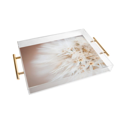 Bird Wanna Whistle Close Up Acrylic Tray