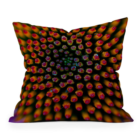 Bird Wanna Whistle Coneflower Outdoor Throw Pillow