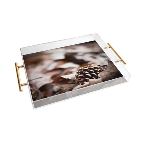 Bird Wanna Whistle Fall 1 Acrylic Tray