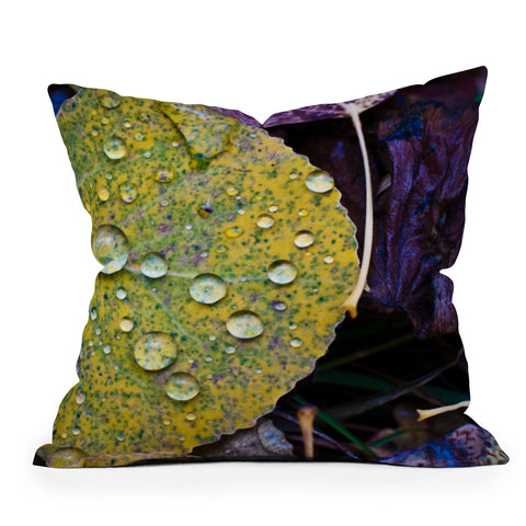 Bird Wanna Whistle Fallen Leaf Outdoor Throw Pillow