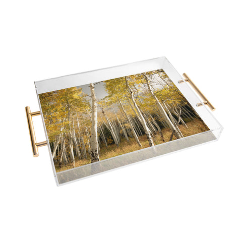 Bird Wanna Whistle Golden Aspen Acrylic Tray