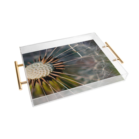 Bird Wanna Whistle Make a Wish Acrylic Tray