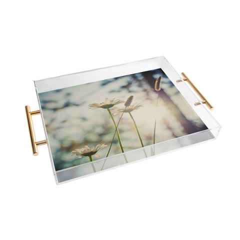 Bird Wanna Whistle Summers Past Acrylic Tray