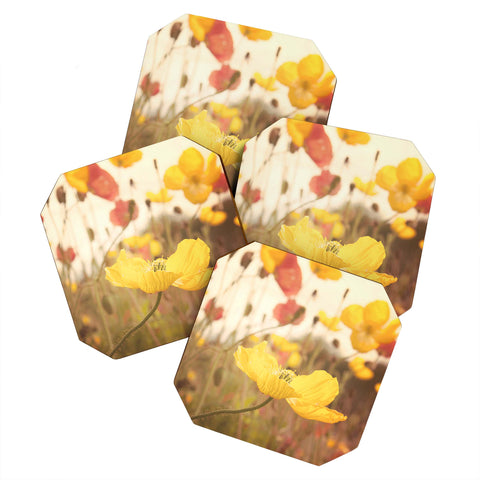 Bree Madden Boho Spring Coaster Set