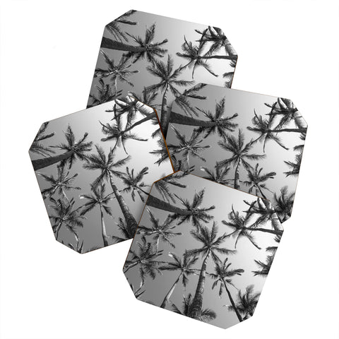 Bree Madden BW Palms Coaster Set
