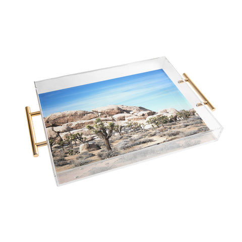 Bree Madden Desert Land Acrylic Tray