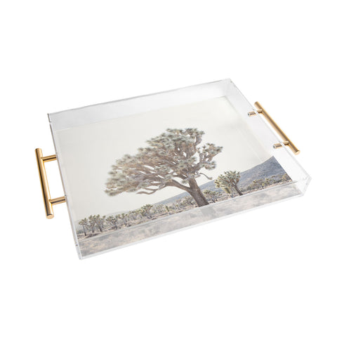 Bree Madden Desert Light Acrylic Tray