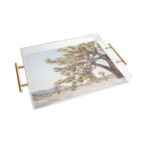 Bree Madden Joshua Acrylic Tray