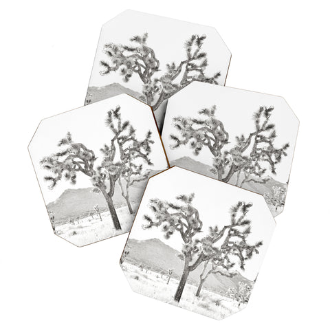 Bree Madden Joshua Tree Bliss Coaster Set