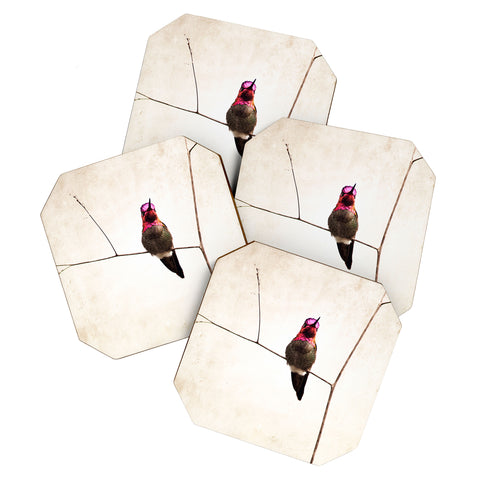 Bree Madden Little Hummingbird Coaster Set