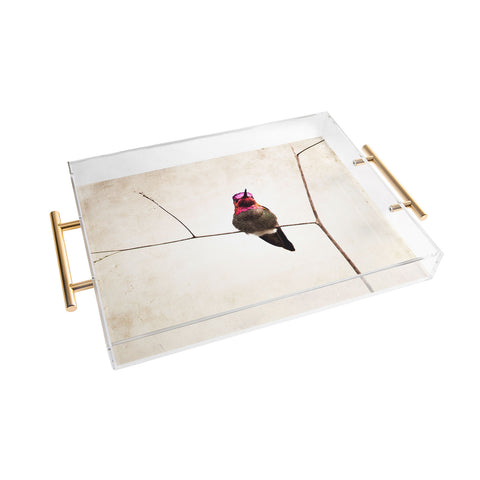 Bree Madden Little Hummingbird Acrylic Tray