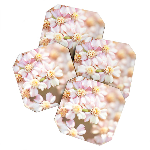 Bree Madden Pale Bloom Coaster Set