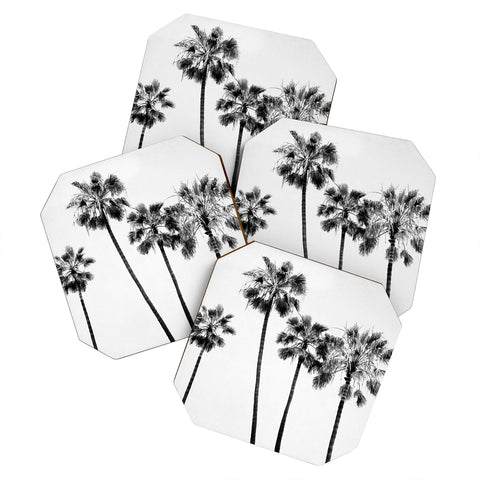 Bree Madden Palm Trees BW Coaster Set